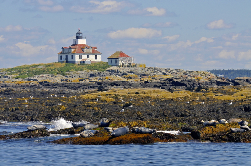 The lighthouses of Acadia Cape Gazette